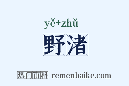 野渚是什么意思的图片